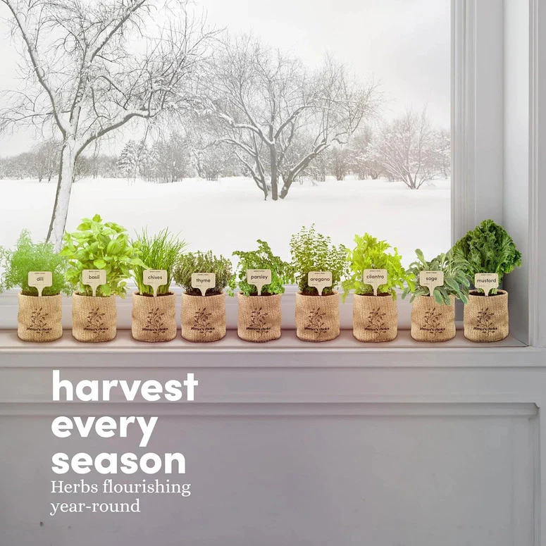 9 Herb Window Garden Kit - Image 4
