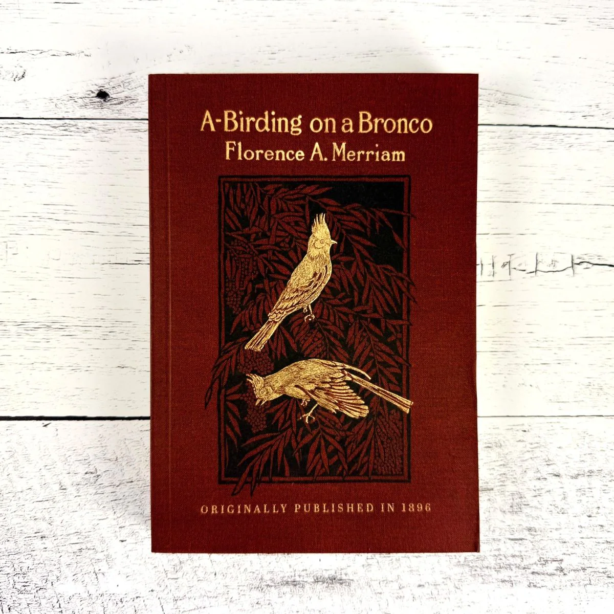 A-Birding on a Bronco