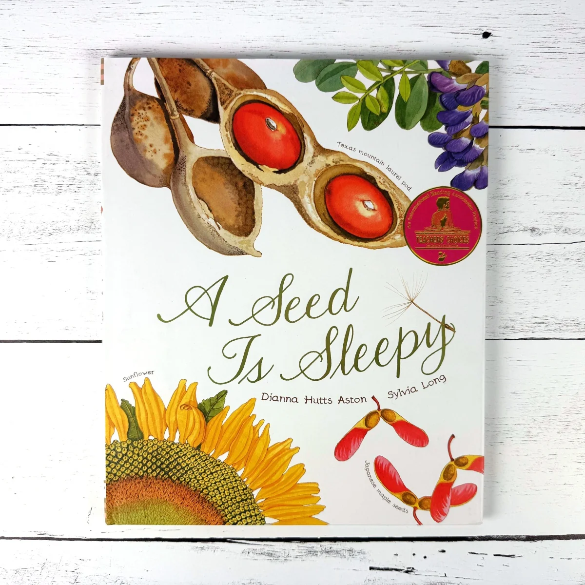 A Seed is Sleepy