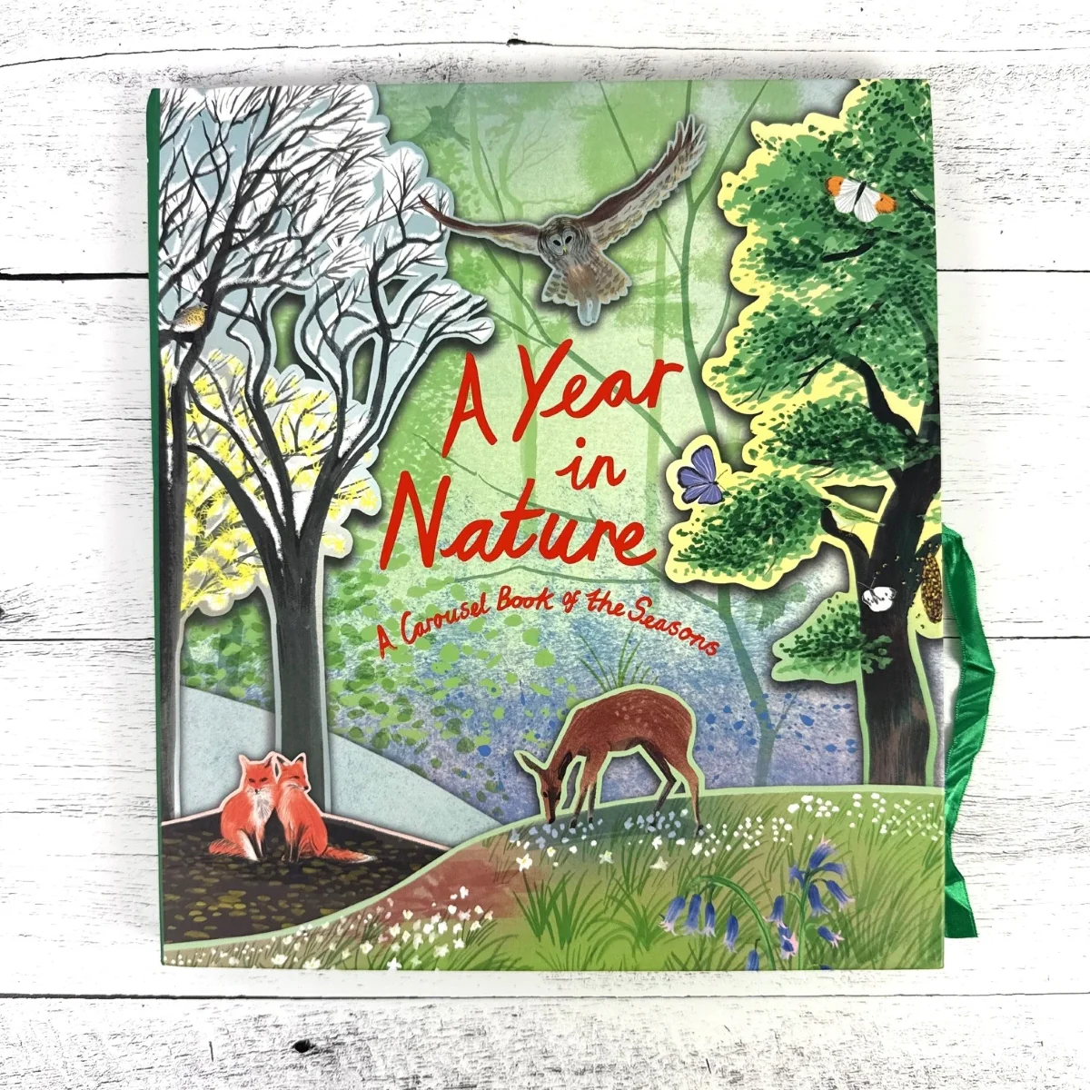 A Year in Nature: A Carousel Book of the Seasons