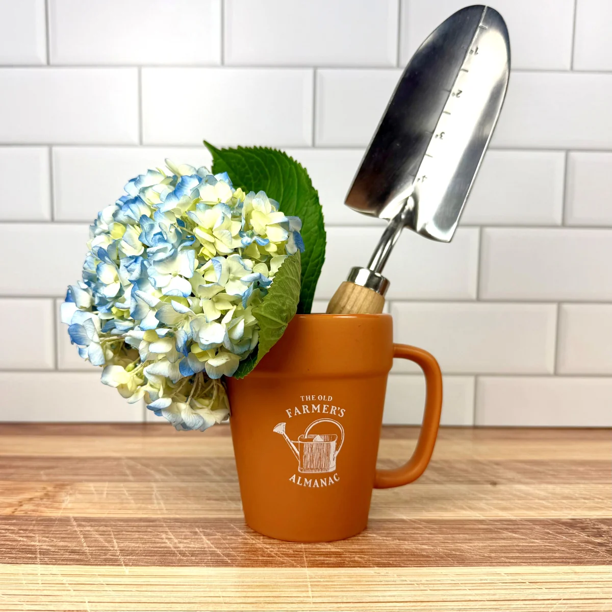 Almanac Flowerpot Mug - Image 3