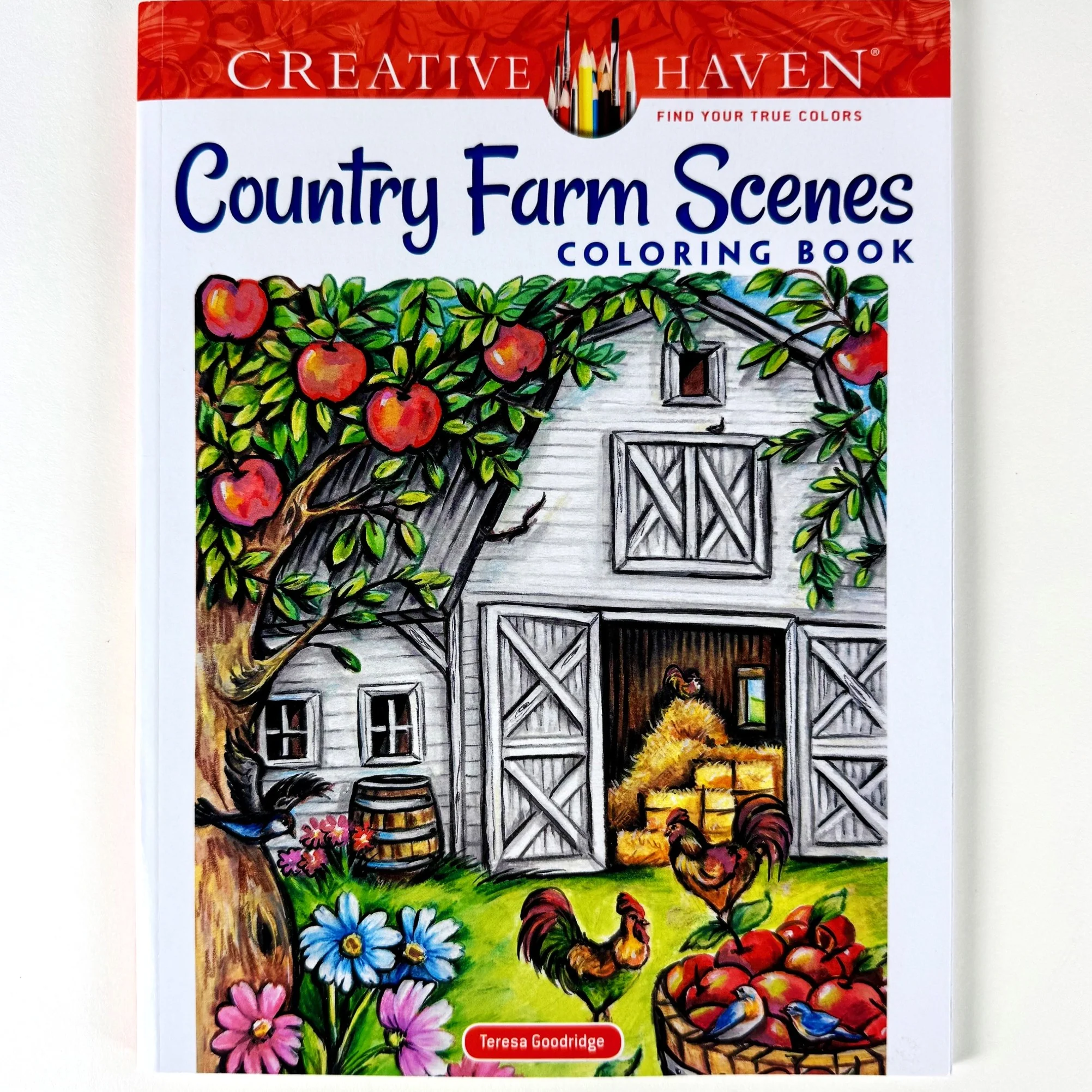 Almanac for Kids - Creative Kids Bundle - Image 9