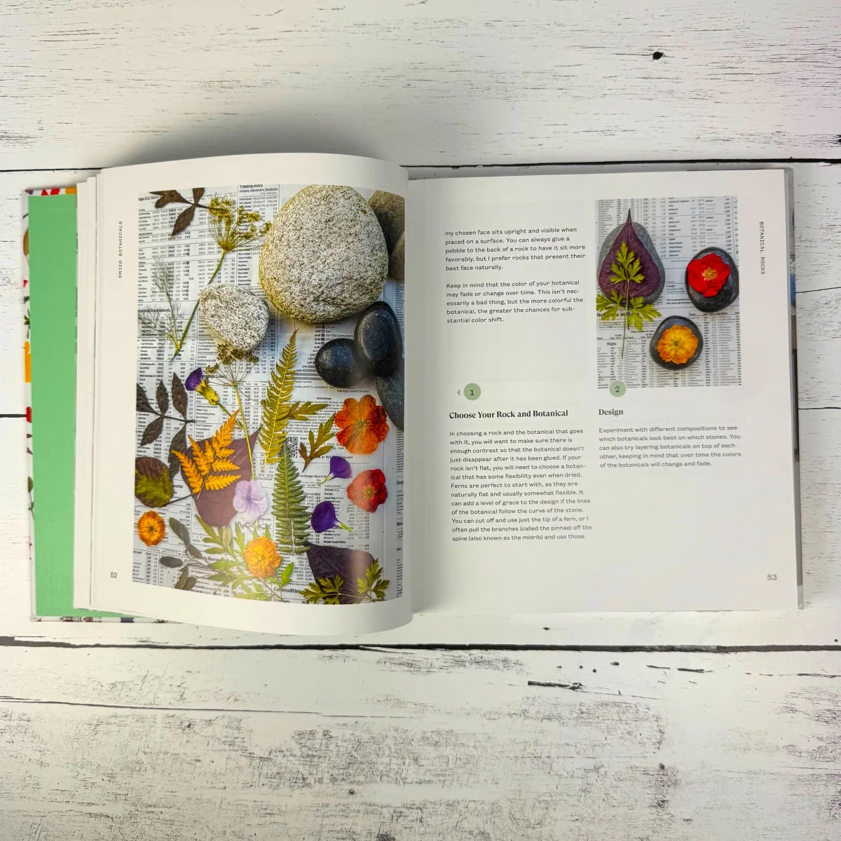 Art From the Garden - Image 4