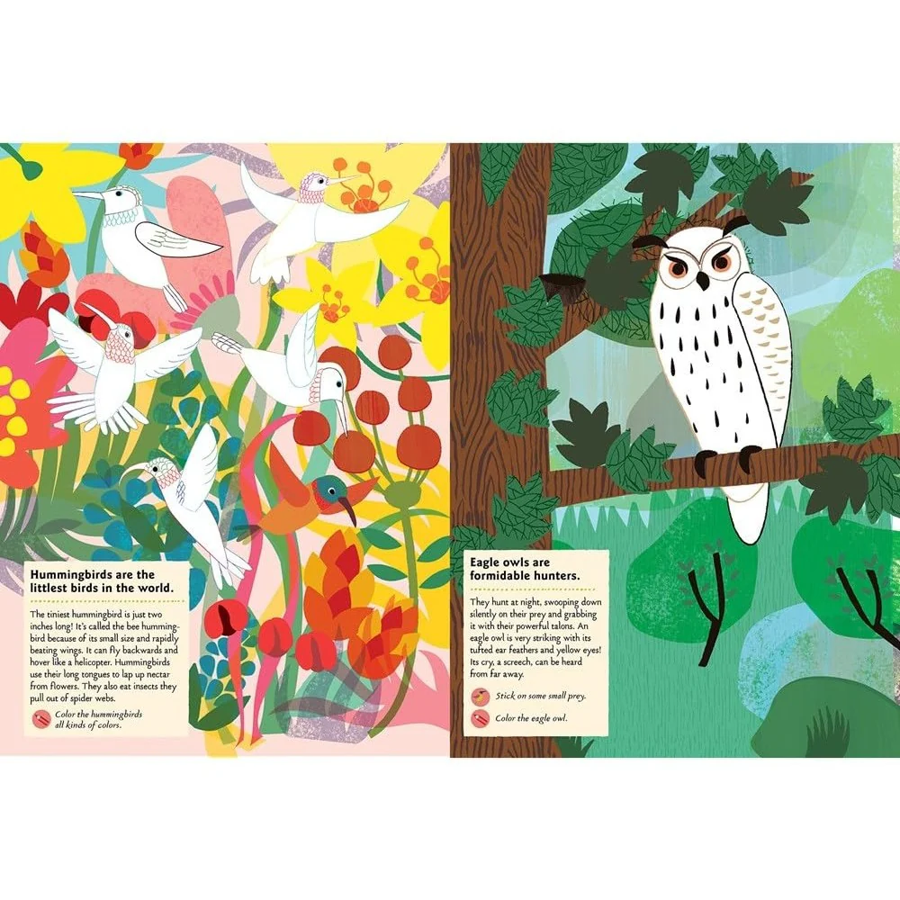 Birds of the World: My Nature Sticker Activity Book - Image 2