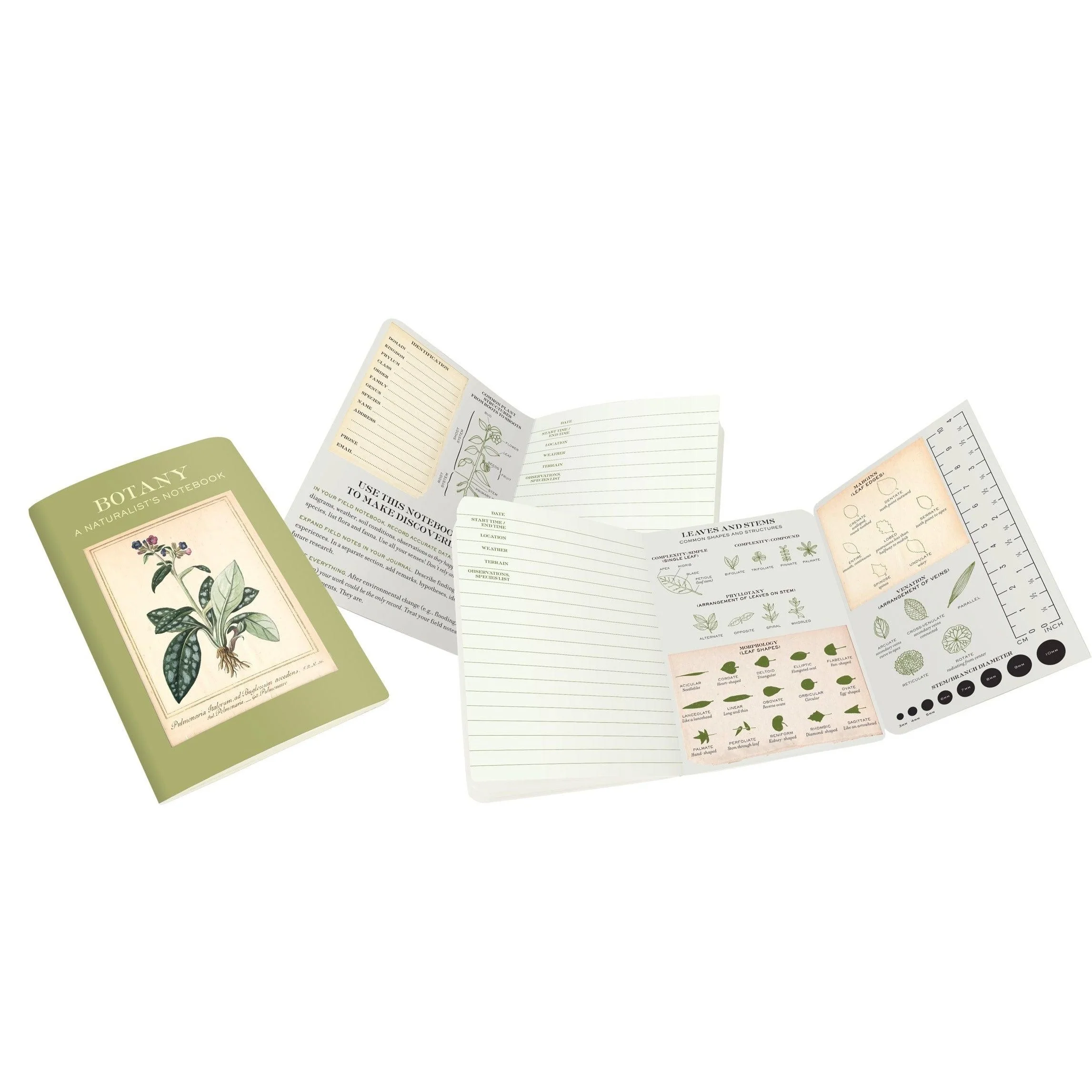 Botany Naturalist's Notebook - Image 2