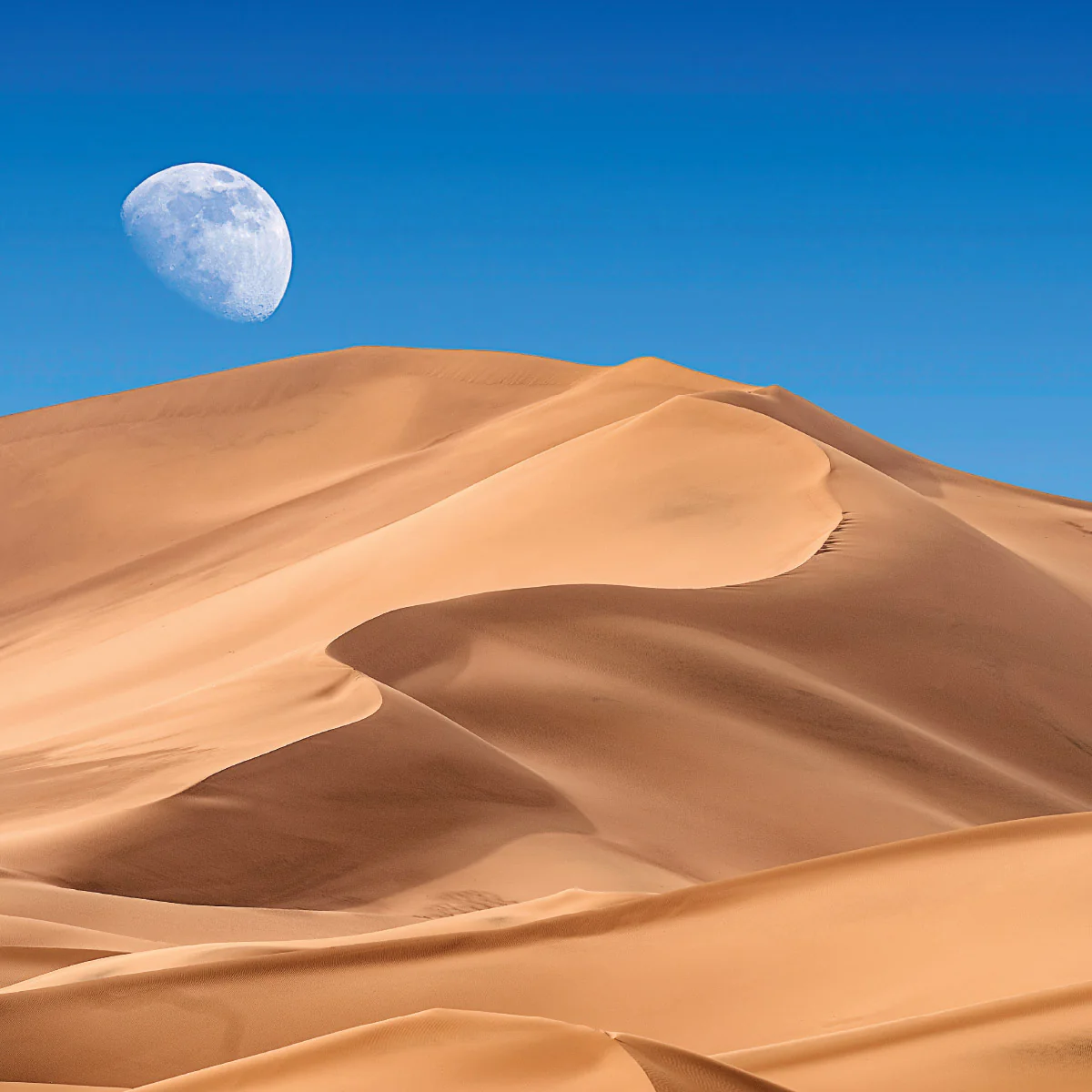 2027 Moon Wall Calendar - Image 6