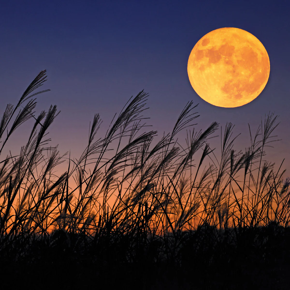 2027 Moon Wall Calendar - Image 7