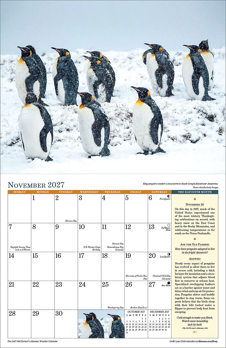 2027 Weather Wall Calendar - Image 4