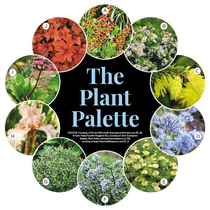 Colorful Slope Garden Plan - Image 2