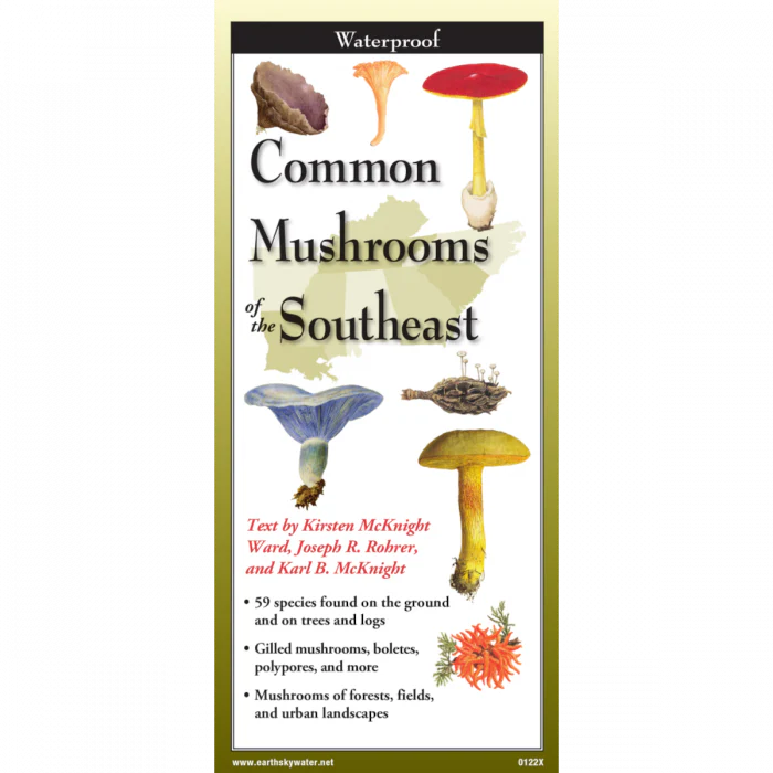 Common Mushrooms of the Southeast, Folding Guide