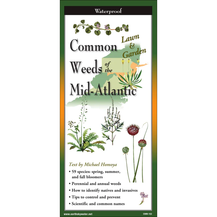 Common Weeds of the Mid-Atlantic, Folding Guide