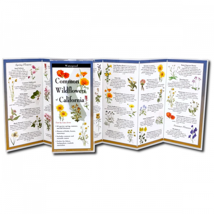 Common Wildflowers California, Folding Guide - Image 2
