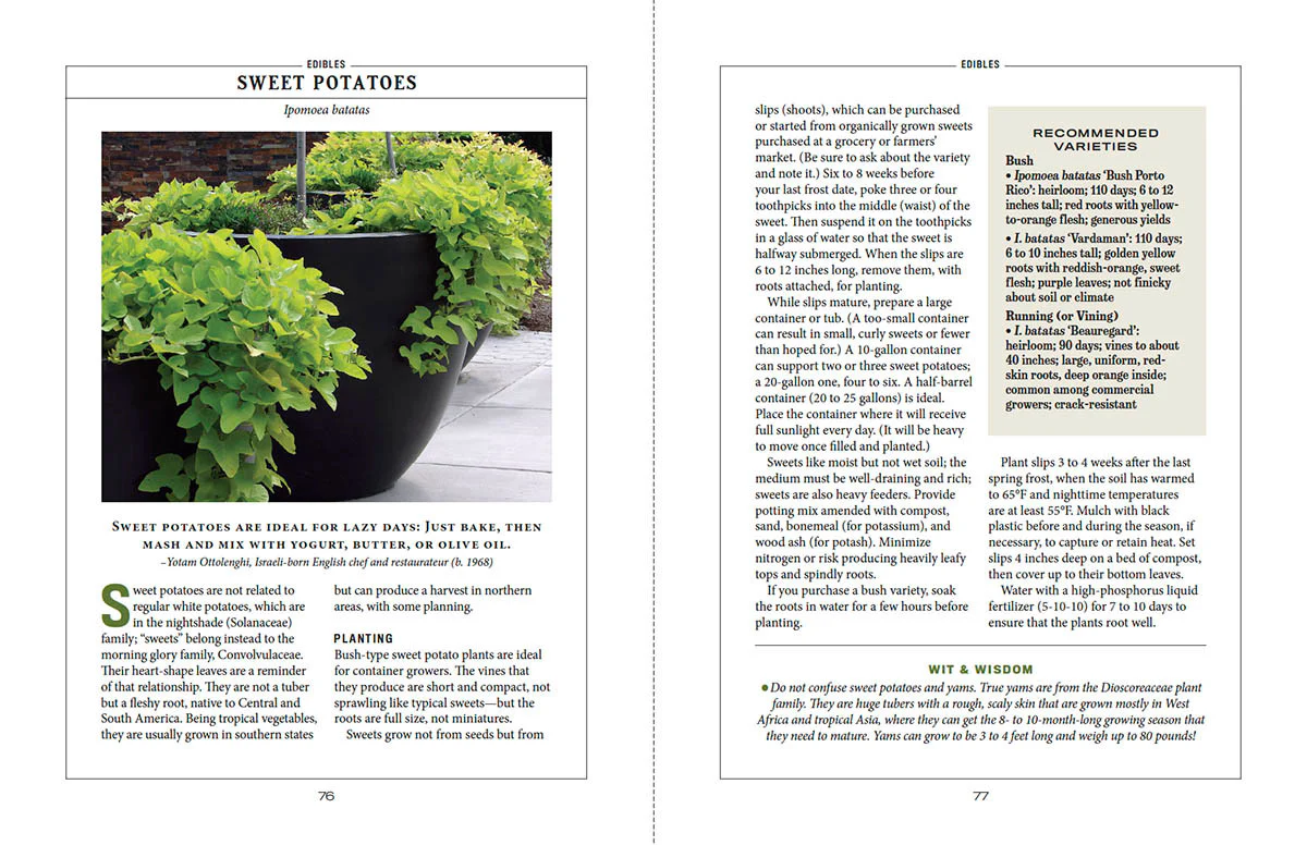 Container Gardener’s Handbook - Image 4