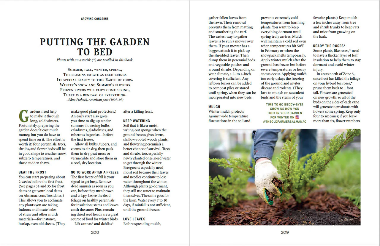 Flower Gardener’s Handbook - eBook - Image 11