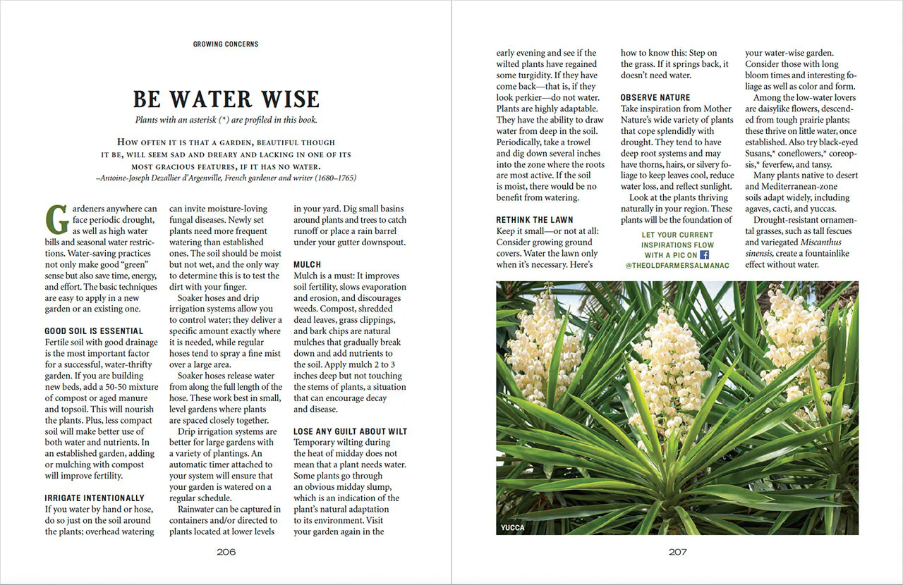 Flower Gardener’s Handbook - eBook - Image 17