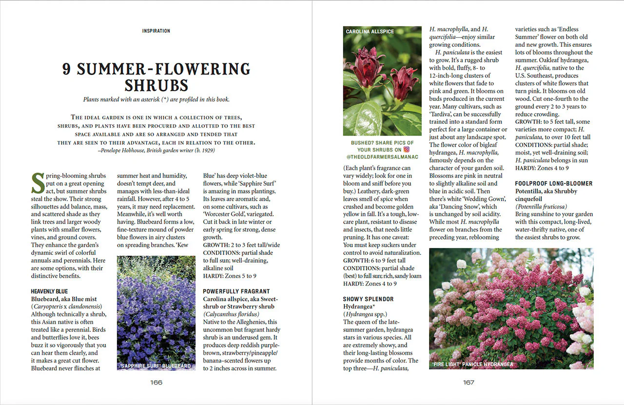 Flower Gardener’s Handbook - eBook - Image 19