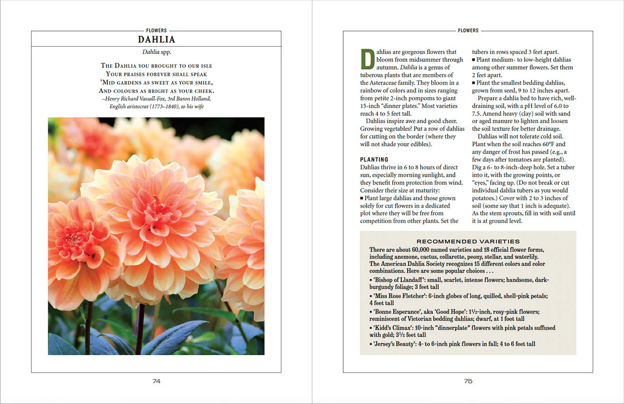 Flower Gardener’s Handbook - eBook - Image 5