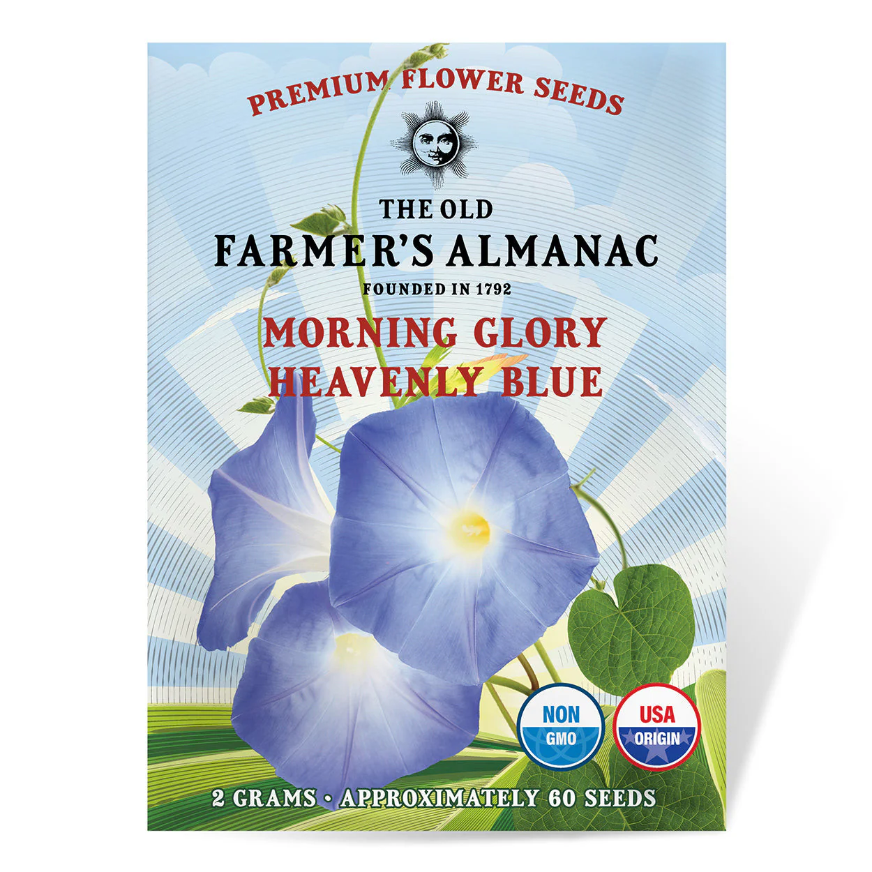 Premium Flower Garden Starter Kit - Image 4