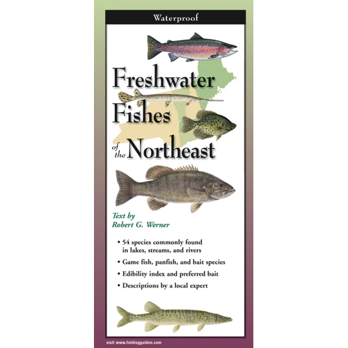 Freshwater Fishes of the Northeast, Folding Guide