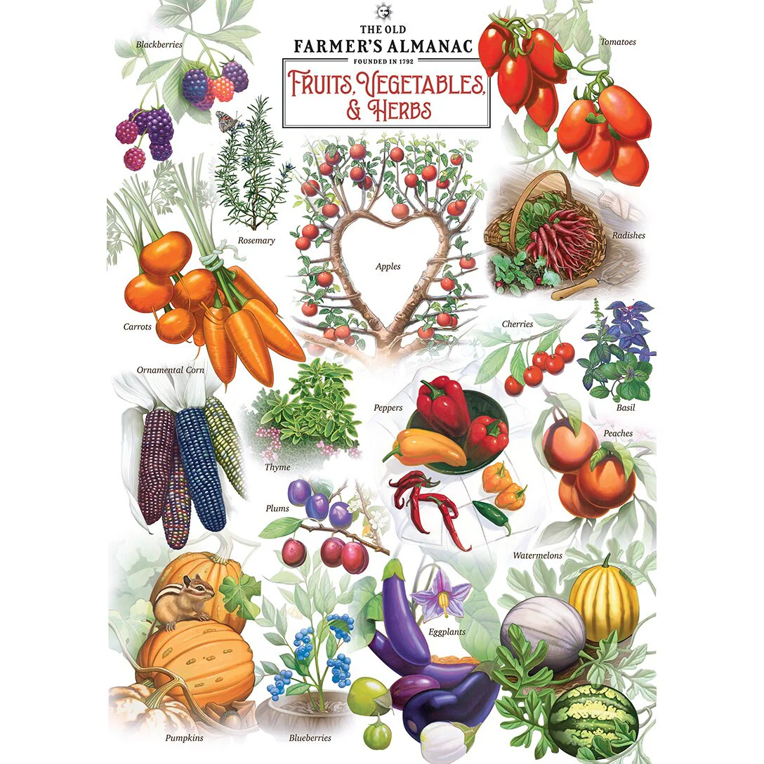 Fruits Vegetables & Herbs 1000pc Puzzle - Image 3