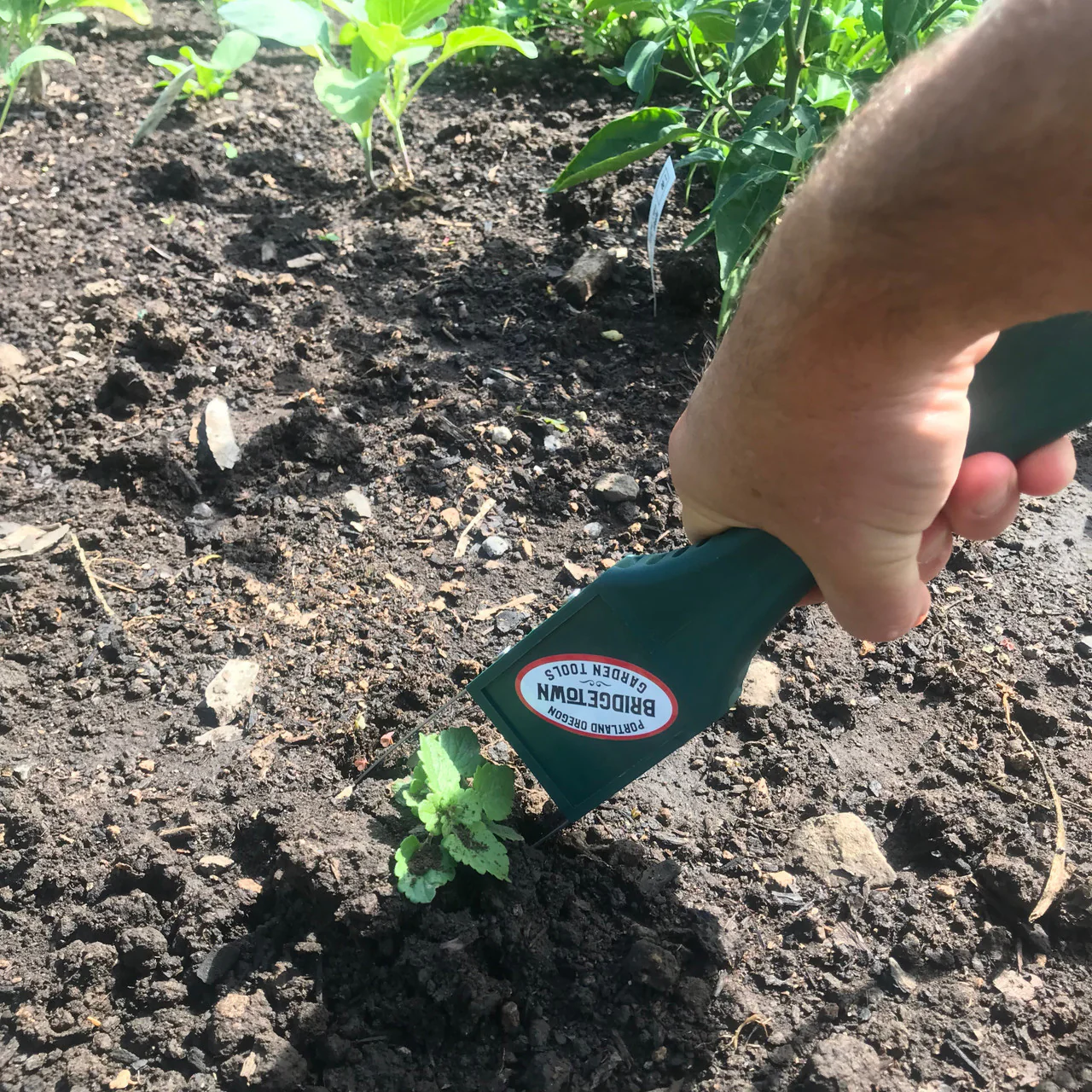 Garden Ninja Loop Weeder - Image 2