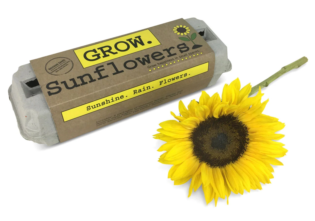 Grow Sunflowers Garden Kit