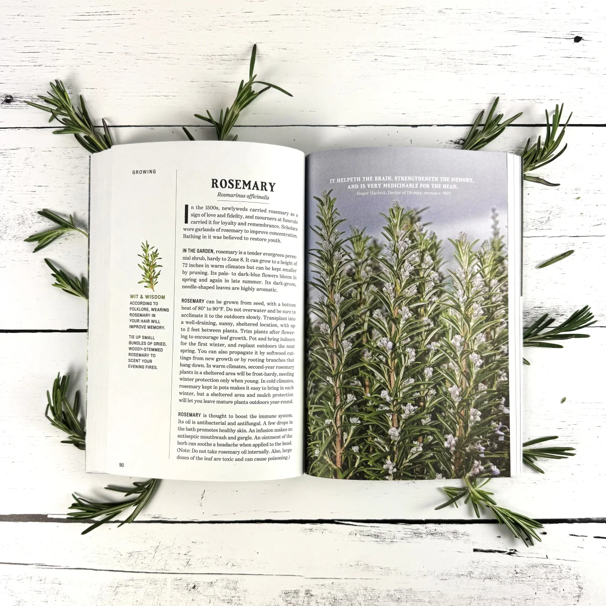 The Old Farmer's Almanac Guide to Herbs - Image 3