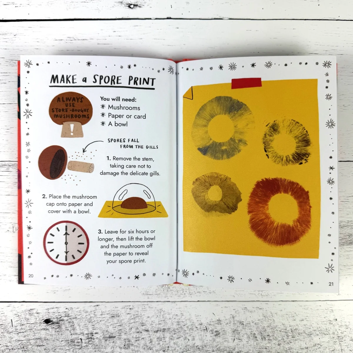 Hello Fungi: A Little Guide to Nature - Image 2