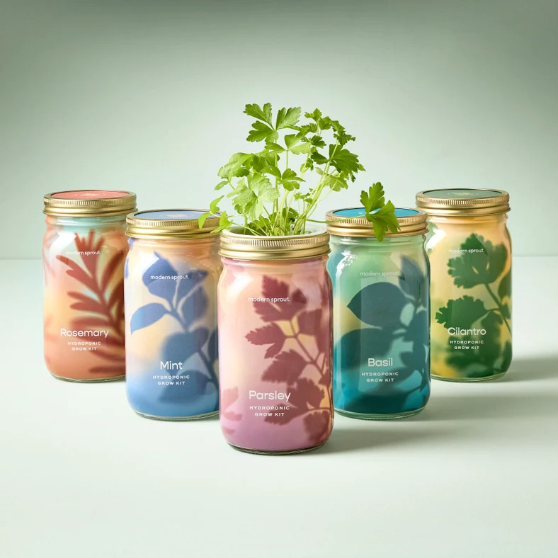 Herb Garden Jar - Parsley - Image 3
