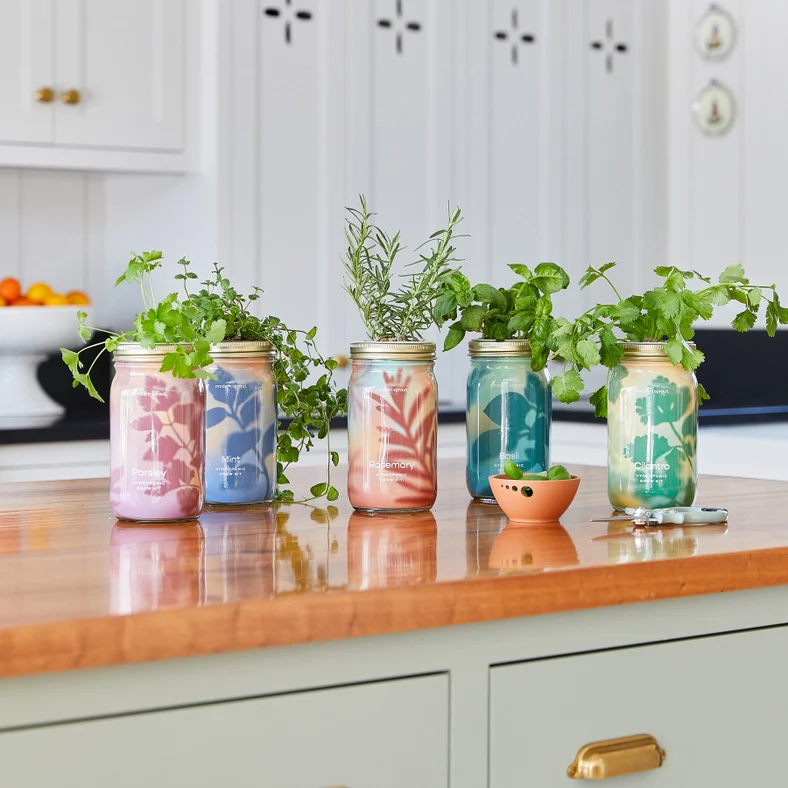 Herb Garden Jar - Cilantro - Image 2
