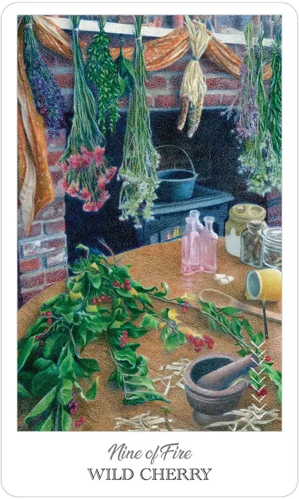 The Herbcrafter's Tarot - Image 8