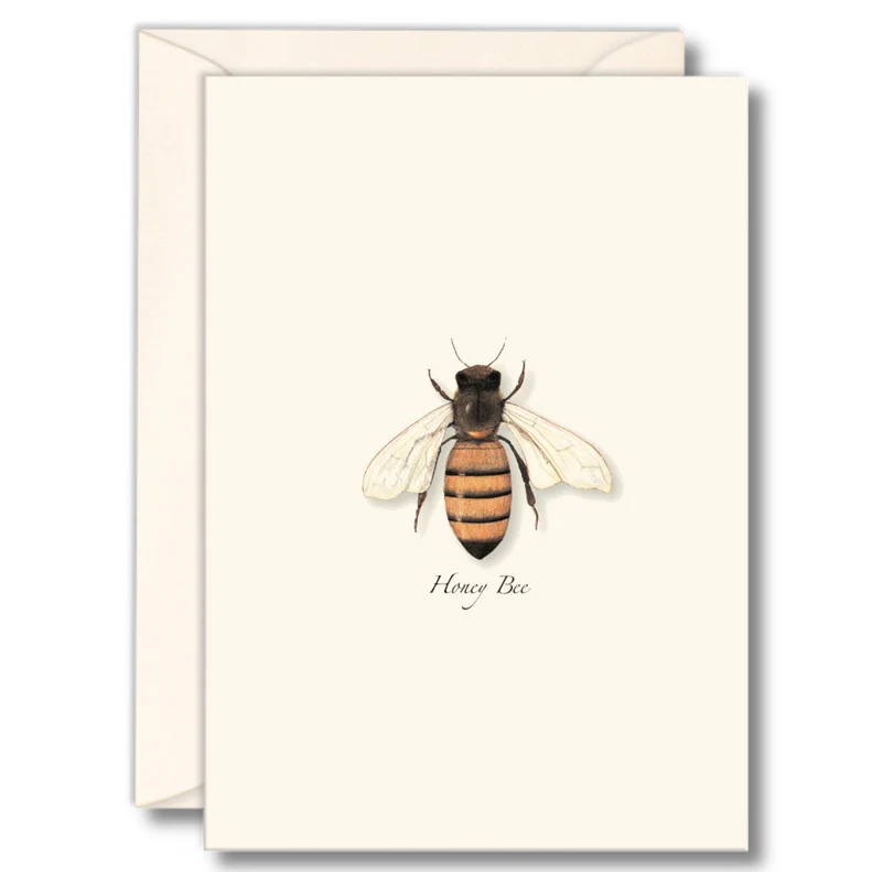 Honey Bee Notecards