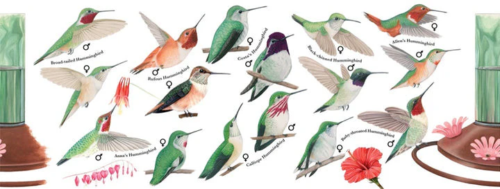 Hummingbirds Mug - Image 3