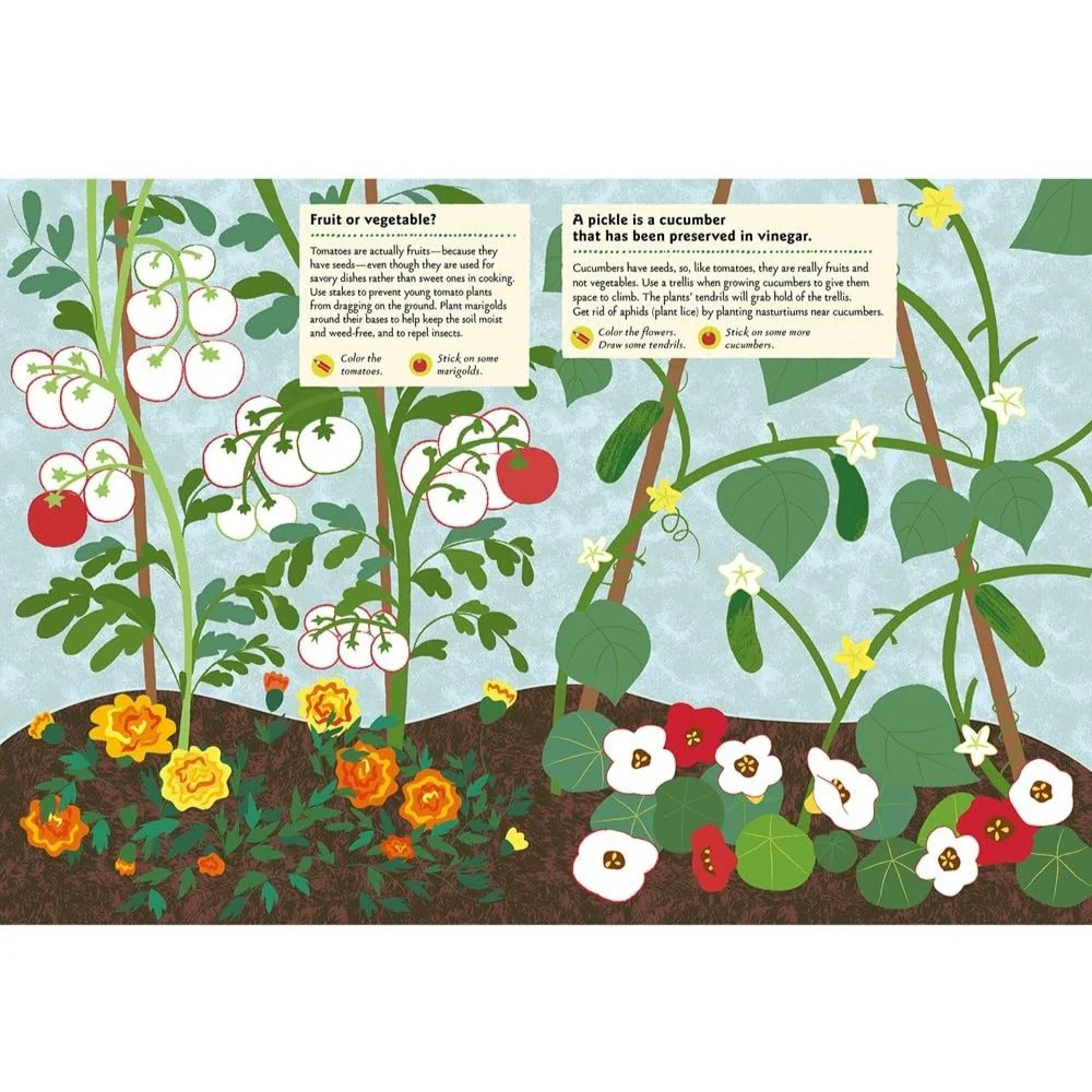 In the Vegetable Garden: My Nature Sticker Activity Book - Image 2
