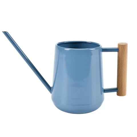 Indoor Watering Can - Image 11