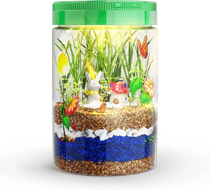Light-Up Terrarium Kit - Image 2
