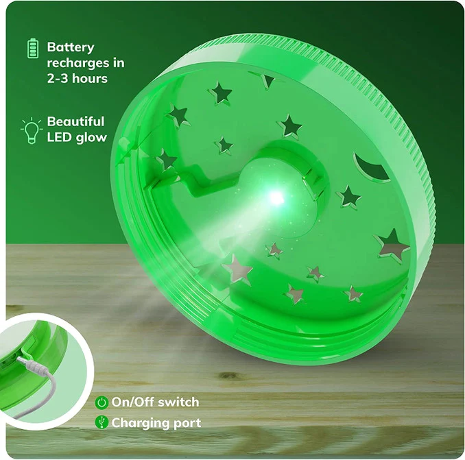 Light-Up Terrarium Kit - Image 3