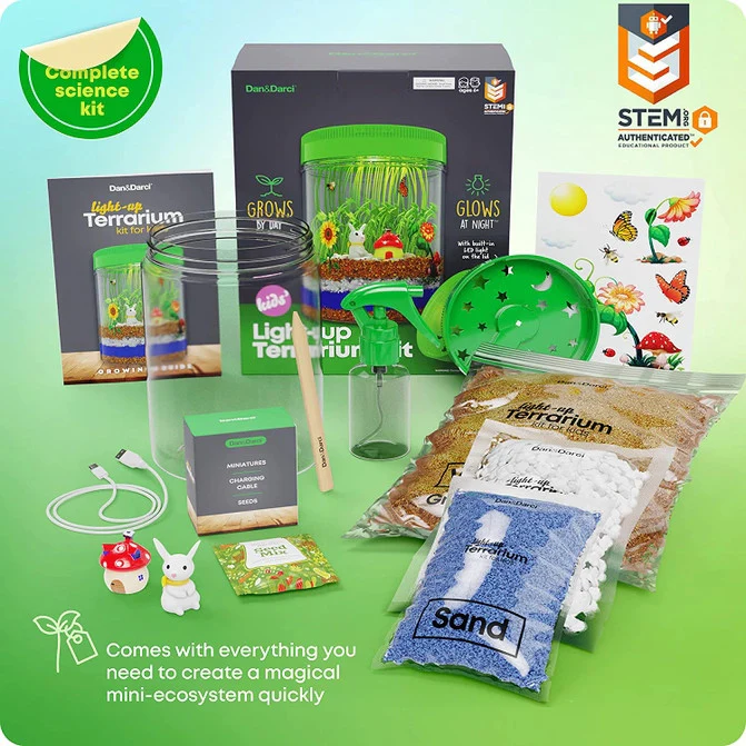Light-Up Terrarium Kit - Image 4