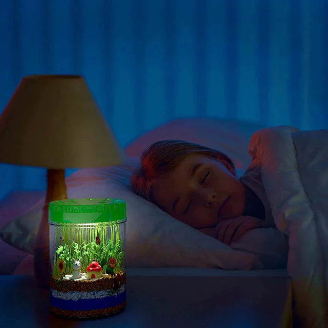 Light-Up Terrarium Kit - Image 5
