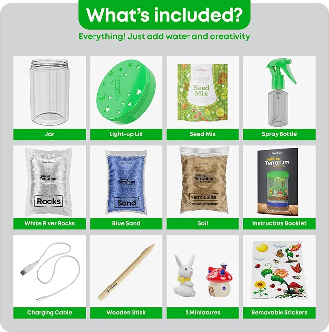 Light-Up Terrarium Kit - Image 7