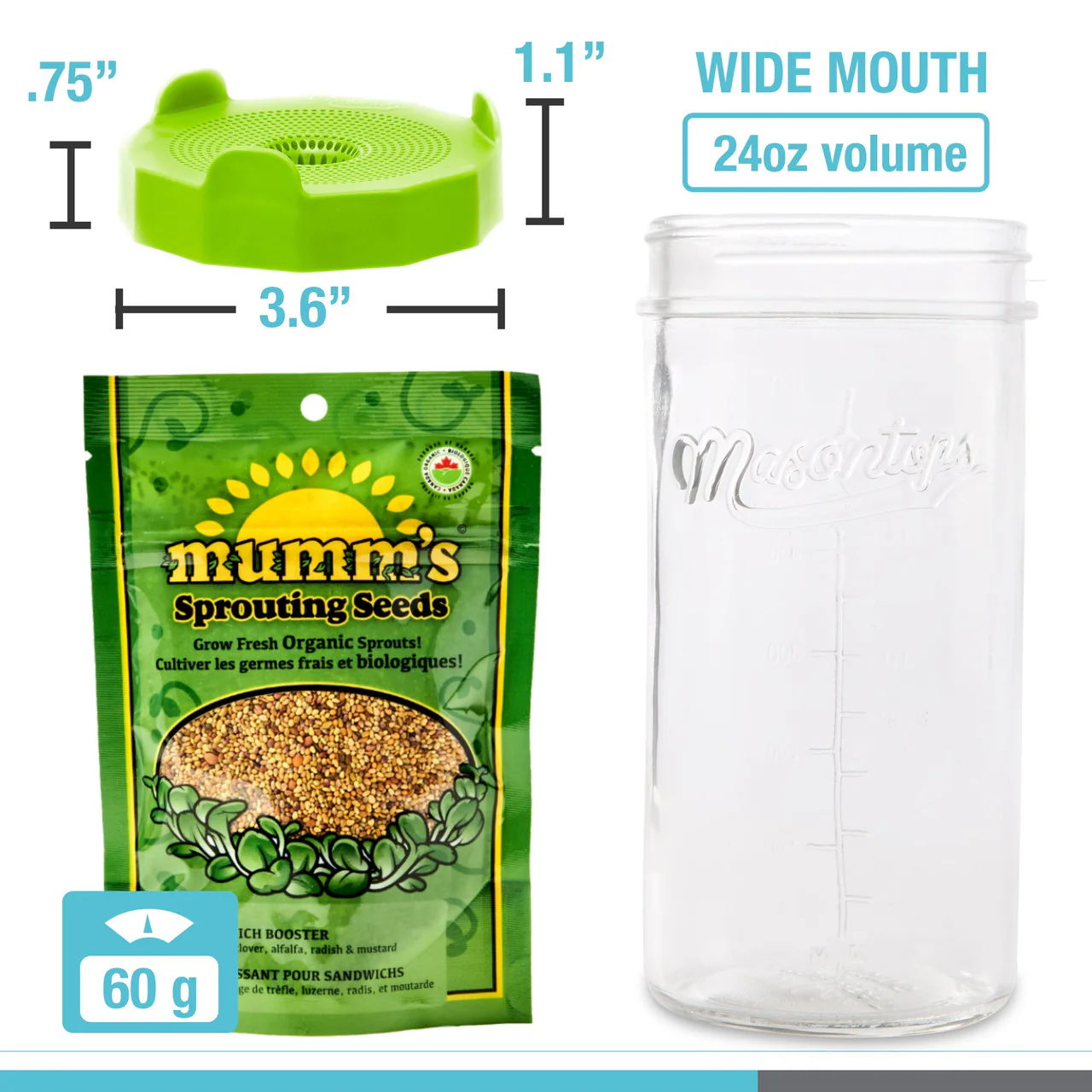 Mason Jar Sprouting Kit with Seeds - Image 2