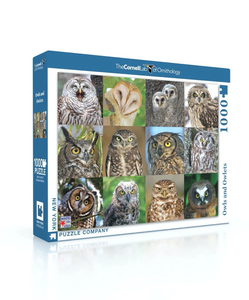 Owls and Owlets Jigsaw Puzzle 1000 Piece - Image 3