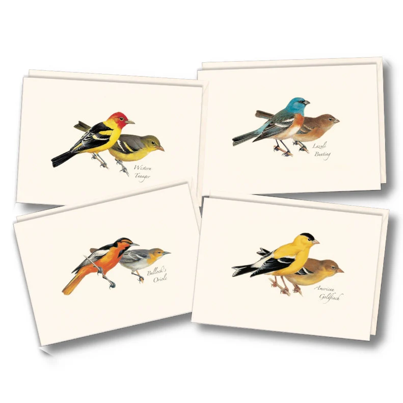 Peterson Western Bird Notecard Assortment