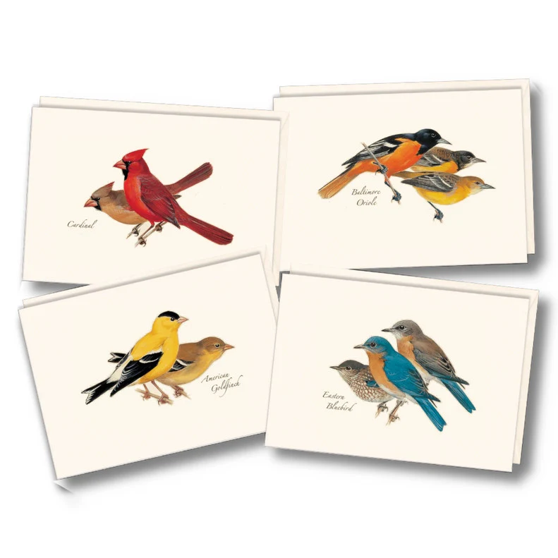 Peterson's Bird Notecard Assortment