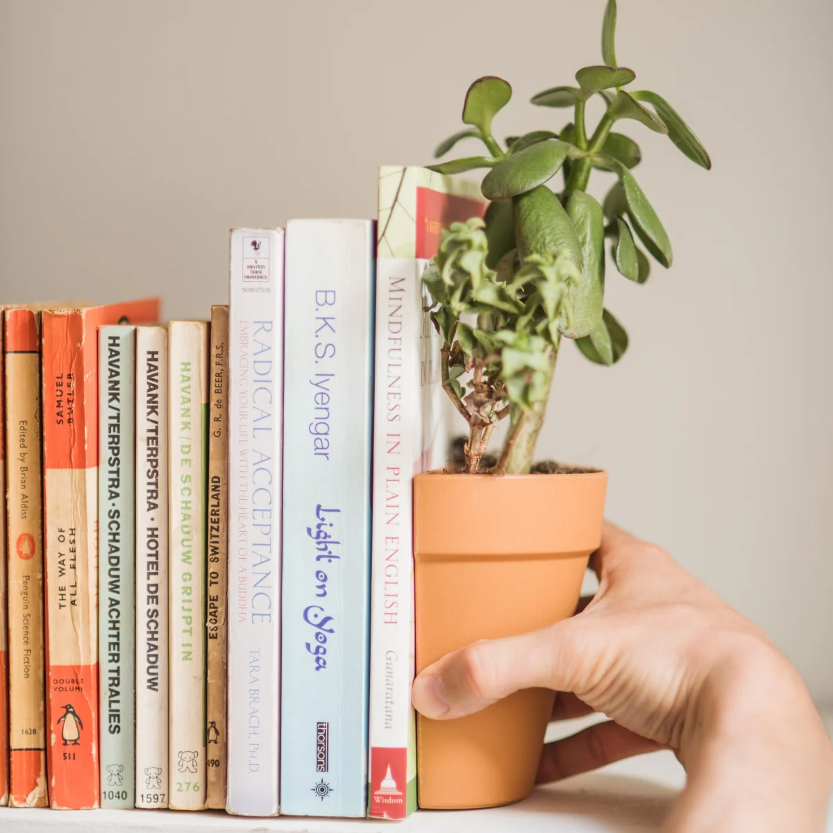 Planter Bookends - Image 5
