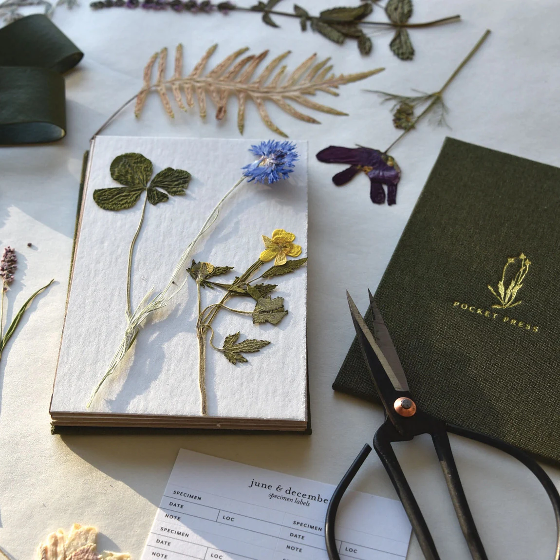 Pocket Flower Press - Image 4
