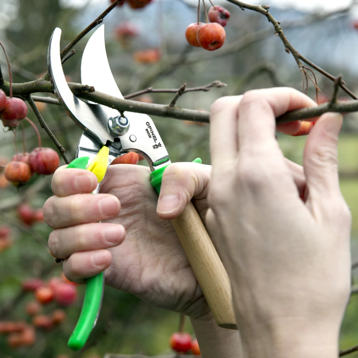Premium Pruning Shears - 2 colors available - Image 2