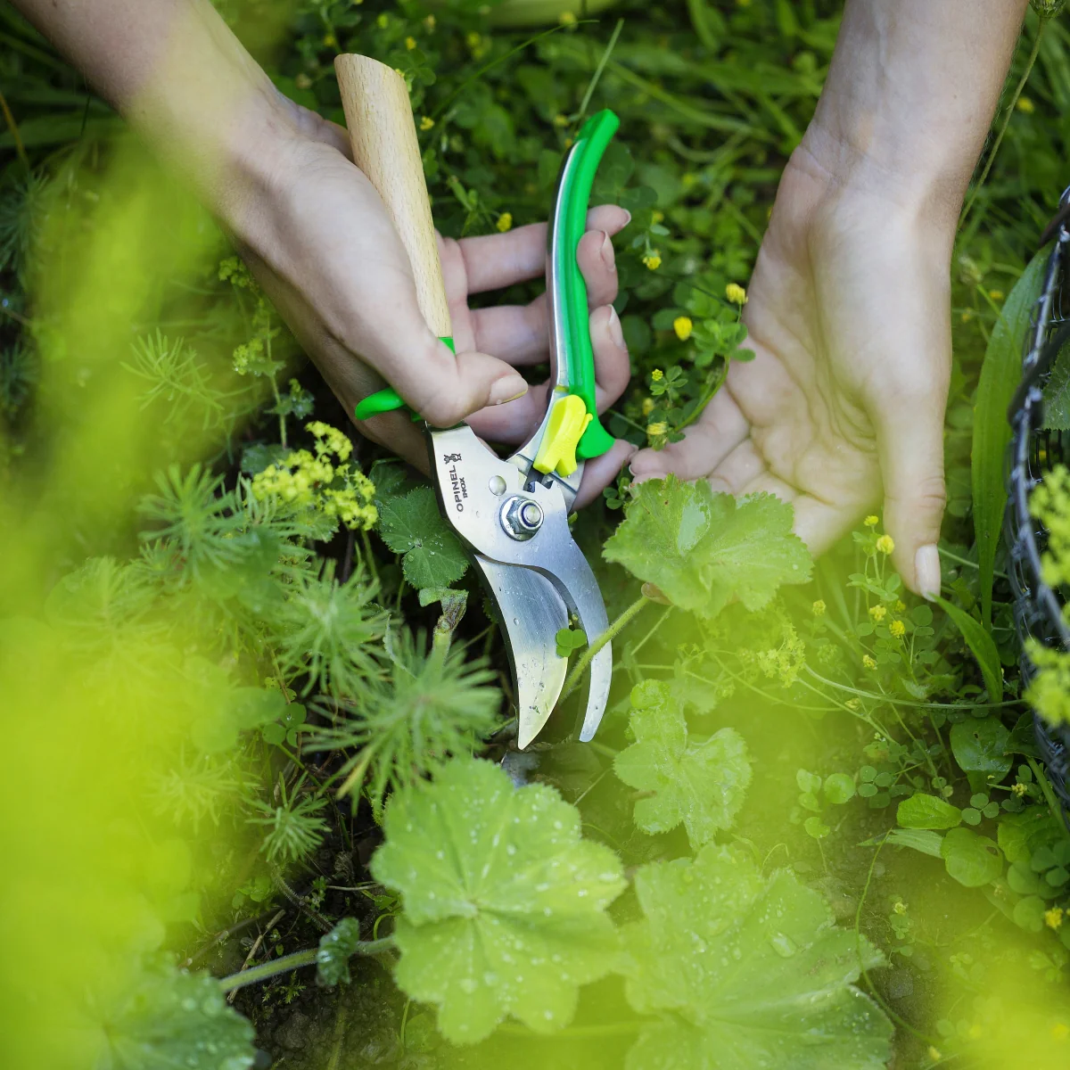 Premium Pruning Shears - 2 colors available - Image 5