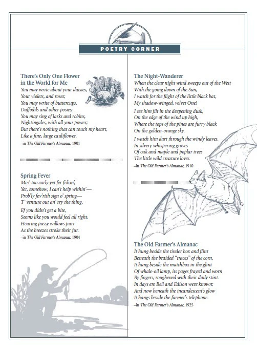 Puzzles & Pleasantries - eBook - Image 3
