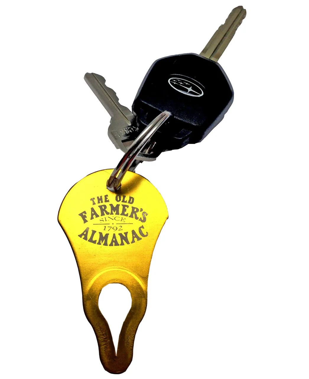 Tick Key Tick Remover Tool (3-Pack) - Image 7